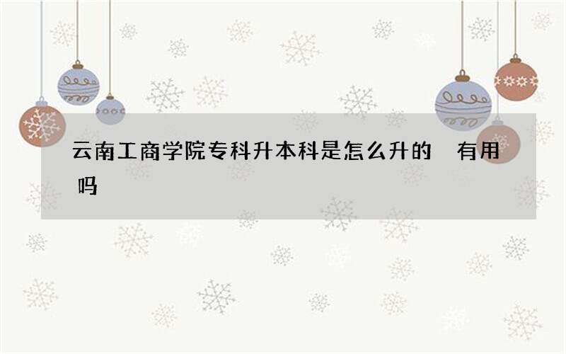 云南工商学院专科升本科是怎么升的 有用吗